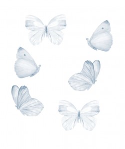 Blue butterfly set of 6 stickers