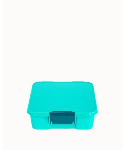 Mojito bento 5