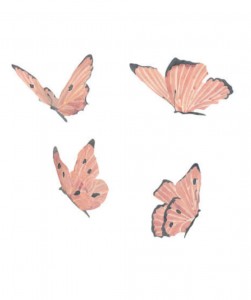 Rose butterflies set of 4 stickers
