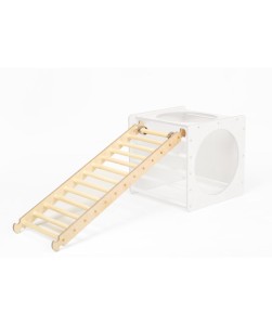 Natural ladder ramp for activity cube